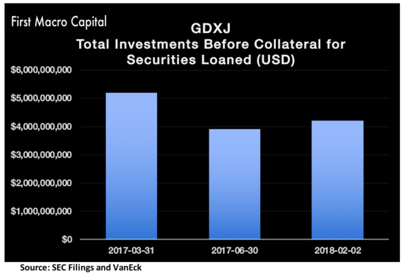 GDXJ Holdings